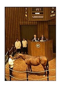 I'll Get Along, the dam of Smarty Jones, sold for $5 million.