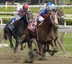 Juvenile Preview: Pletcher Youth Juvenile Preview: Pletcher Youth