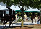 Tapit Colt Tops Keeneland Sale Session Tapit Colt Tops Keeneland Sale Session