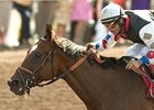 Siren Lure will try to go over the $1 million mark in career earnings in the San Francisco Mile.