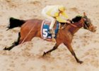 Derby Runner-Up Strodes Creek Dead Derby Runner-Up Strodes Creek Dead