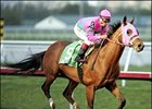 Donn Handicap winner Saint Liam hopes for continued success at Churchill Downs.
