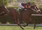 Collect the Cash, with Shane Sellers aboard, wins the Queen Elizabeth II Challenge Cup Sunday at Keeneland.