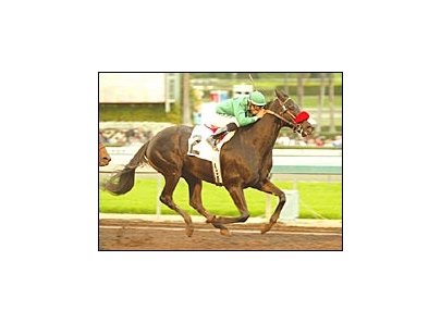 Truly A Judge, ridden by Martin Pedroza, wins the San Gabriel Handicap, Saturday at Santa Anita.