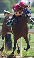 Fast Times At Churchill; Baffert Track Record Fast Times At Churchill; Baffert Track Record