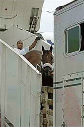 Bluegrass Cat Retired Due to Pastern Injury Bluegrass Cat Retired Due to Pastern Injury