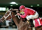 Solid Field Set For Presque Isle Masters Solid Field Set For Presque Isle Masters