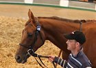 Time Machine Sets Pace at Tattersalls Time Machine Sets Pace at Tattersalls