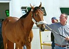 Trainer Bruce Levine with Buddy's Saint.