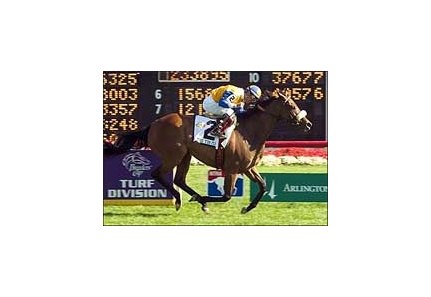 The Tin Man shines brightest in Arlington Million.