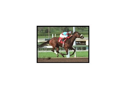 Sunday Break, another Japanese-owned Derby contender for Neil Drysdale.