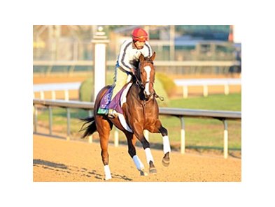 Pomeroys Pistol<br><a target="blank" href="http://www.bloodhorse.com/horse-racing/photo-store?ref=http%3A%2F%2Fpictopia.com%2Fperl%2Fgal%3Fprovider_id%3D368%26ptp_photo_id%3D9727932%26ref%3Dstory">Order This Photo</a>