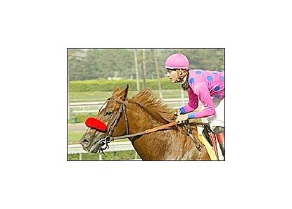 Avanzado wins the Ancient Title.