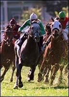 Tijiyr Tops Field for River City Handicap Tijiyr Tops Field for River City Handicap