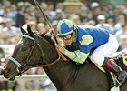 Champ Declan's Moon Retired to Merryland Champ Declan's Moon Retired to Merryland