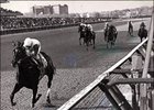 Ruffian - Acorn Stakes<br><a target="blank" href="http://www.bloodhorse.com/horse-racing/photo-store?ref=http%3A%2F%2Fpictopia.com%2Fperl%2Fgal%3Fprovider_id%3D368%26ptp_photo_id%3D399766%26ref%3Dstory">Order This Photo</a>