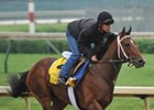 Alpha<br><a target="blank" href="http://photos.bloodhorse.com/TripleCrown/2012-Triple-Crown/Works/22611108_LR3wcn#!i=1823324260&k=RS49vVB">Order This Photo</a>