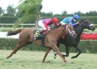 Herboriste (inside) outfights J'ray to take the La Prevoyante.
