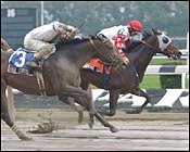 Belmont Park Race Report: Lady of Slop Belmont Park Race Report: Lady of Slop