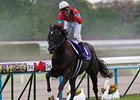 Beat Black wins the Tenno Sho Spring