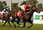 Acclamation leads all the way to take the Charles Whittingham Memorial Handicap.<br><a target="blank" href="http://www.bloodhorse.com/horse-racing/photo-store?ref=http%3A%2F%2Fpictopia.com%2Fperl%2Fgal%3Fprovider_id%3D368%26ptp_photo_id%3D9053860%26ref%3Dstory">Order This Photo</a>