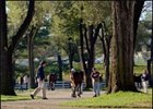 Status of Laurel Main Track Still Uncertain for Opener Status of Laurel Main Track Still Uncertain for Opener