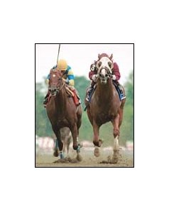 City Zip, right, winning the Amsterdam.