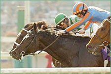 BC Winner Johar Retired BC Winner Johar Retired