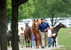 Keeneland September Sale