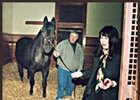 As he settled in to his stall at Hill 'n' Dale Farm on Monday, Seattle Slew awaits an apple from co-owner Karen Taylor, right, while groom Tom Wade holds the horse.