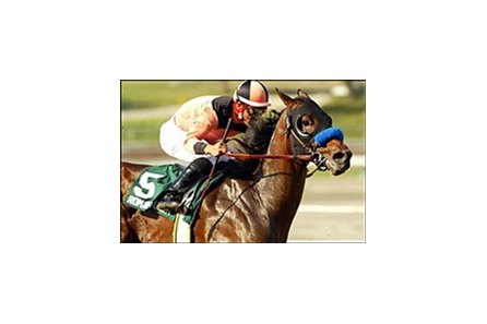 Norfolk winner Roman Ruler gets his 2005 campaign underway in Sunday's San Vicente.