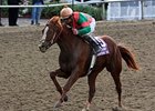 Break Up paid $138.40 for his win in the Louisiana Champions Day Juvenile.