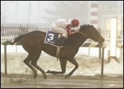 Xtra Heat Wins Fritchie, Sets Stakes Mark Xtra Heat Wins Fritchie, Sets Stakes Mark