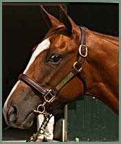 Prices Down Sharply at Saratoga's Second Session; Forestry Brother Bought Back for $3.8 Million Prices Down Sharply at Saratoga's Second Session; Forestry Brother Bought Back for $3.8 Million
