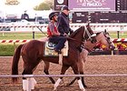 Preakness: Lights, Camera ... Lukas? Preakness: Lights, Camera ... Lukas?