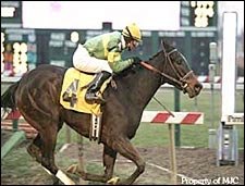 Dixie Talking Becomes 100th Stakes Winner for Dixieland Band Dixie Talking Becomes 100th Stakes Winner for Dixieland Band