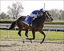 Slew's Tizzy Breezes; 'He's Ready,' Says Fox Slew's Tizzy Breezes; 'He's Ready,' Says Fox