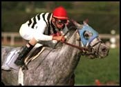 Starine Gives Velazquez Fifth Straight Graded Stakes Win Starine Gives Velazquez Fifth Straight Graded Stakes Win