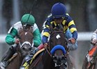 Alienation tries for her first stakes win in the Prioress.