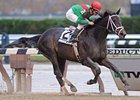 Unbridled Belle cruises to victory in the Turnback the Alarm Handicap.<br><a target="blank" href="http://www.bloodhorse.com/horse-racing/photo-store?ref=http%3A%2F%2Fpictopia.com%2Fperl%2Fgal%3Fprovider_id%3D368%26ptp_photo_id%3D8591866%26ref%3Dstory">Order This Photo</a>