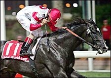 Roses in May Retired with Tendon Injury Roses in May Retired with Tendon Injury
