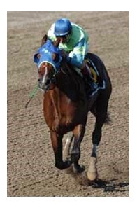 Suave's last victory in the Saratoga Breeders' Cup Handicap.