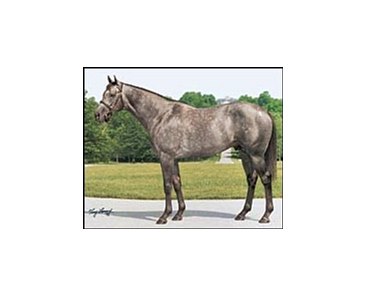 Maria's Mon emerged on top the leading second-crop sire list.