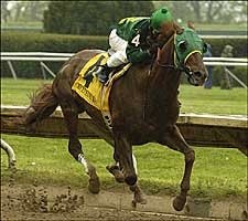Alumni Hall Gives Farish Third Straight Ben Ali Win Alumni Hall Gives Farish Third Straight Ben Ali Win