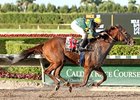 Electrify cruises to victory in the Fred Hooper.