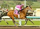 Bluesthestandard, en route to victory in the Palos Verdes.