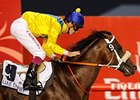 Musir Takes UAE Derby as de Kock Runs One-Two Musir Takes UAE Derby as de Kock Runs One-Two