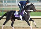 Dirt Mile Favorite? Morning Line, Who Else Dirt Mile Favorite? Morning Line, Who Else