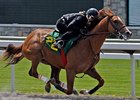 Take Control is by 1992 Horse of the Year A. P. Indy, out of 2002 Horse of the Year Azeri.