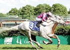 Silverfoot won the Louisville Handicap 3 straight times, beginning in 2004 (shown).